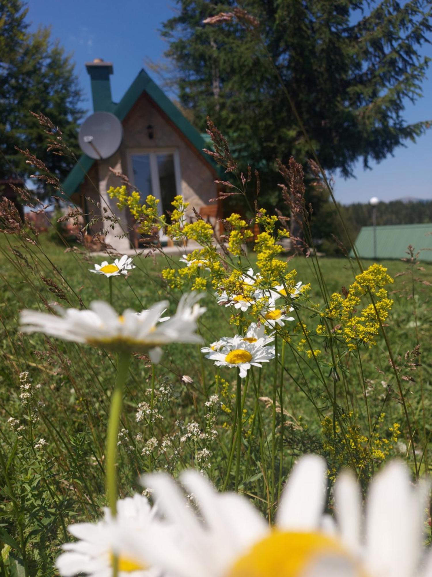 Durmitor Bungalows Žabljak Buitenkant foto